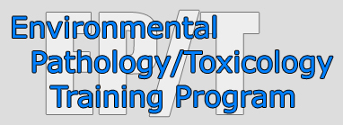 Environmental Training Program